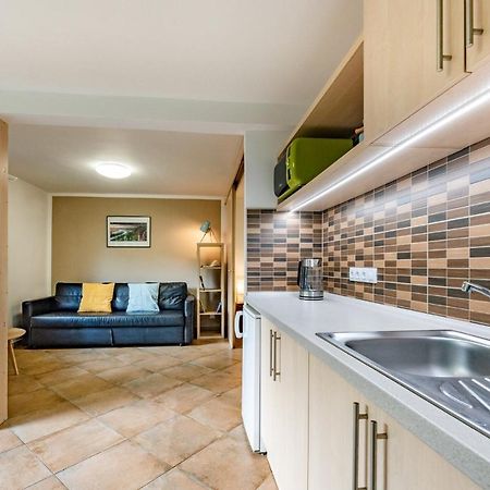 Apartment Vaclavov Decin Exterior photo